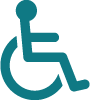 Handicapped Icon